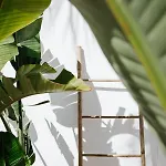 La Bohemia Del Rio Boutique - Adults Only