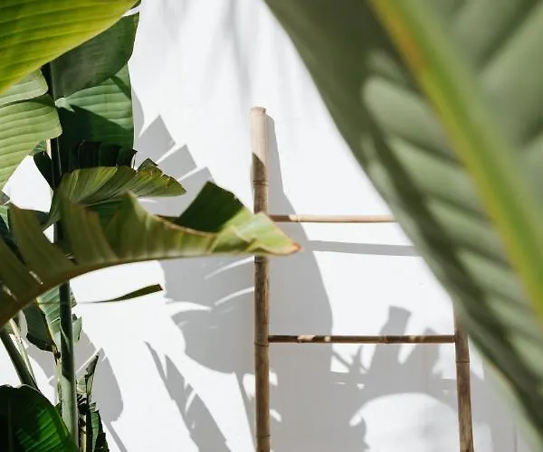 La Bohemia Del Rio Boutique - Adults Only