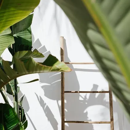 La Bohemia Del Rio Boutique - Adults Only