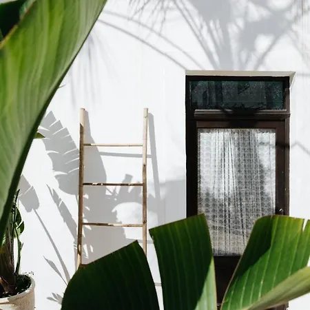 Hotel La Bohemia Del Rio Boutique-adults Only 2*