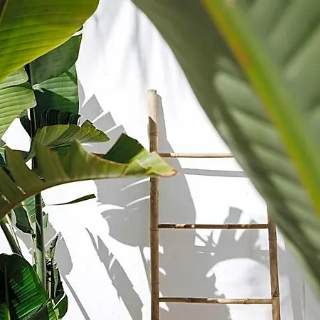 La Bohemia Del Rio Boutique - Adults Only Hotel