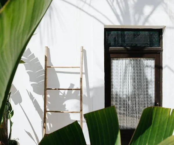 Hotell La Bohemia Del Rio Boutique - Adults Only 2*